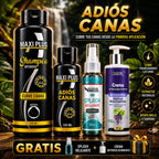 Envase del champú cubre canas Maxiplus