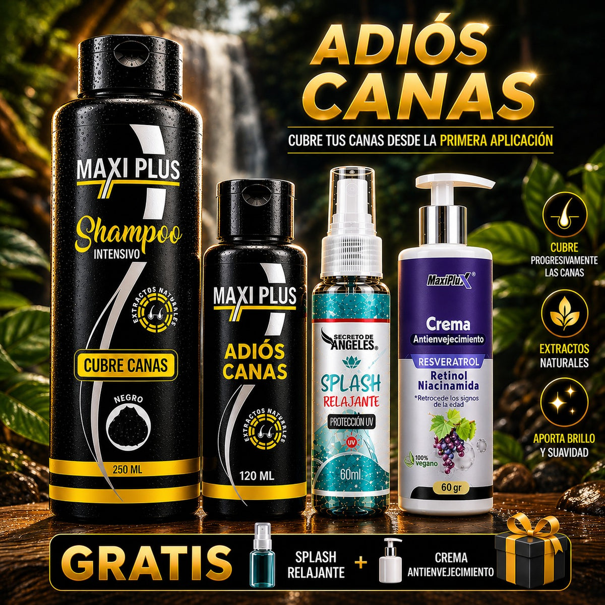 Envase del champú cubre canas Maxiplus